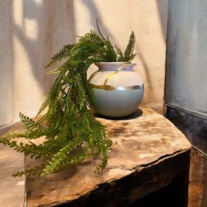 Vase rond blanc et bleu ciel avec une plante posé sur une table en bois rustique