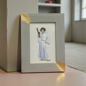 Cadre gris clair princesse Leia