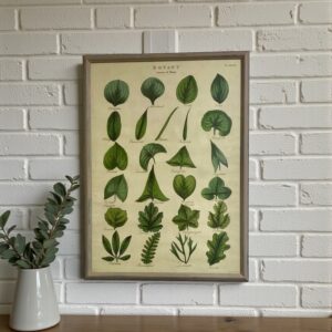 Grand cadre shabby chic botanique – Affiche vintage feuilles