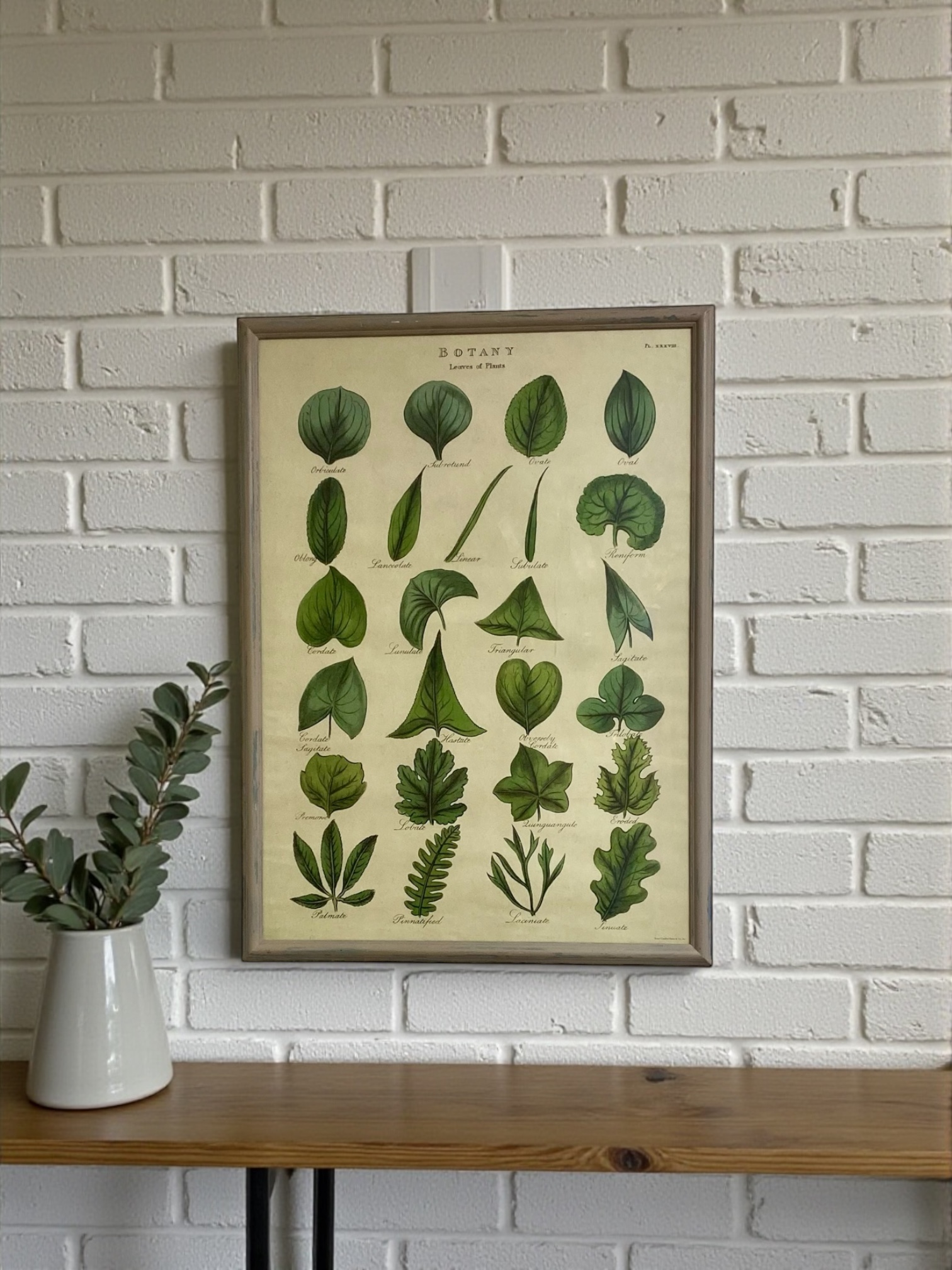 Grand cadre shabby chic botanique – Affiche vintage feuilles